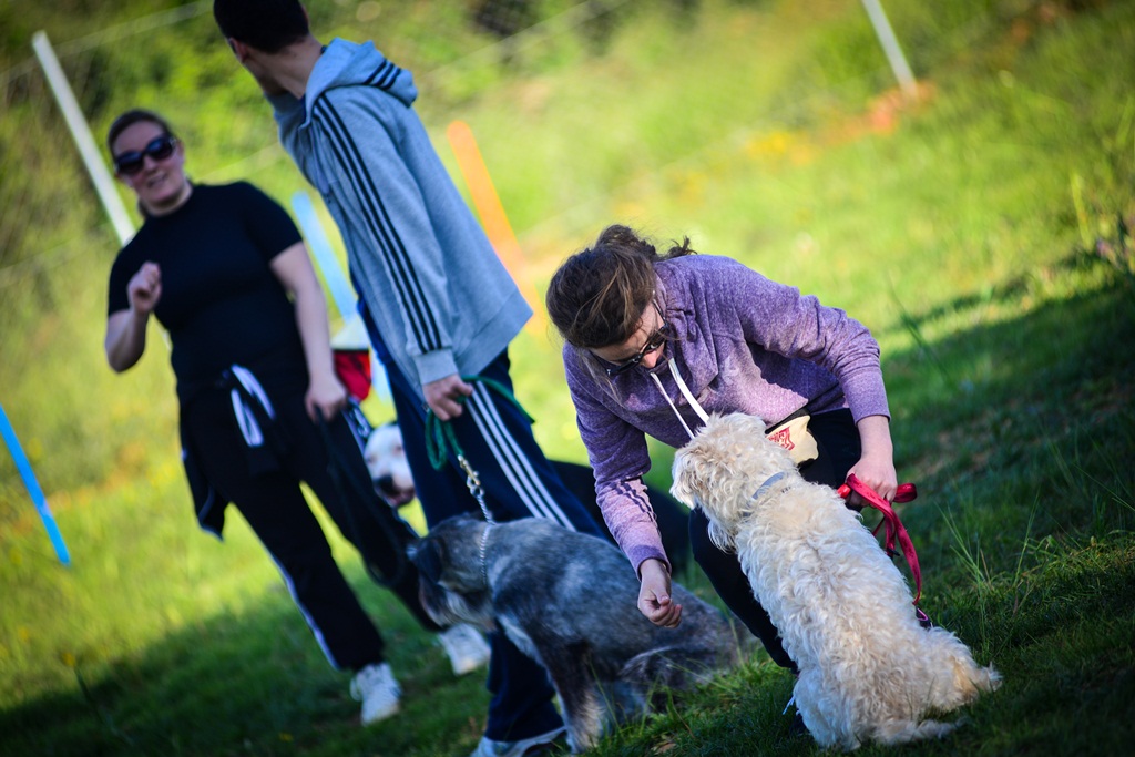 Kinološka udruga Malinois