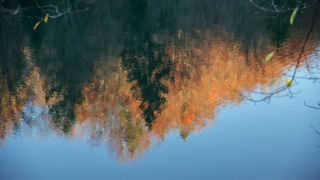 Boje jeseni na Plitvičkim jezerima