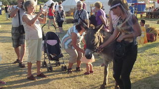Dani vitezova vranskih, 19. srpnja 2014.
