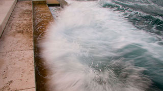 Image 1194641 (auto)