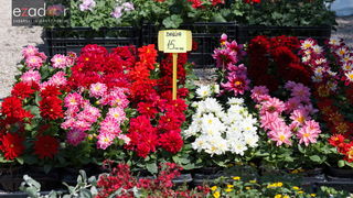 Đir po gradu, četvrtak 19. travnja 2018. Đir po gradu, četvrtak 19. travnja 2018.