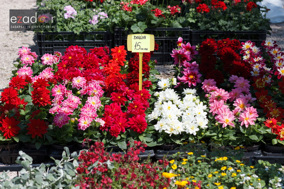 Đir po gradu, četvrtak 19. travnja 2018. Đir po gradu, četvrtak 19. travnja 2018.