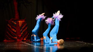 Circo Art u HNK Zadar izveo predstavu “Povratak u prirodu”