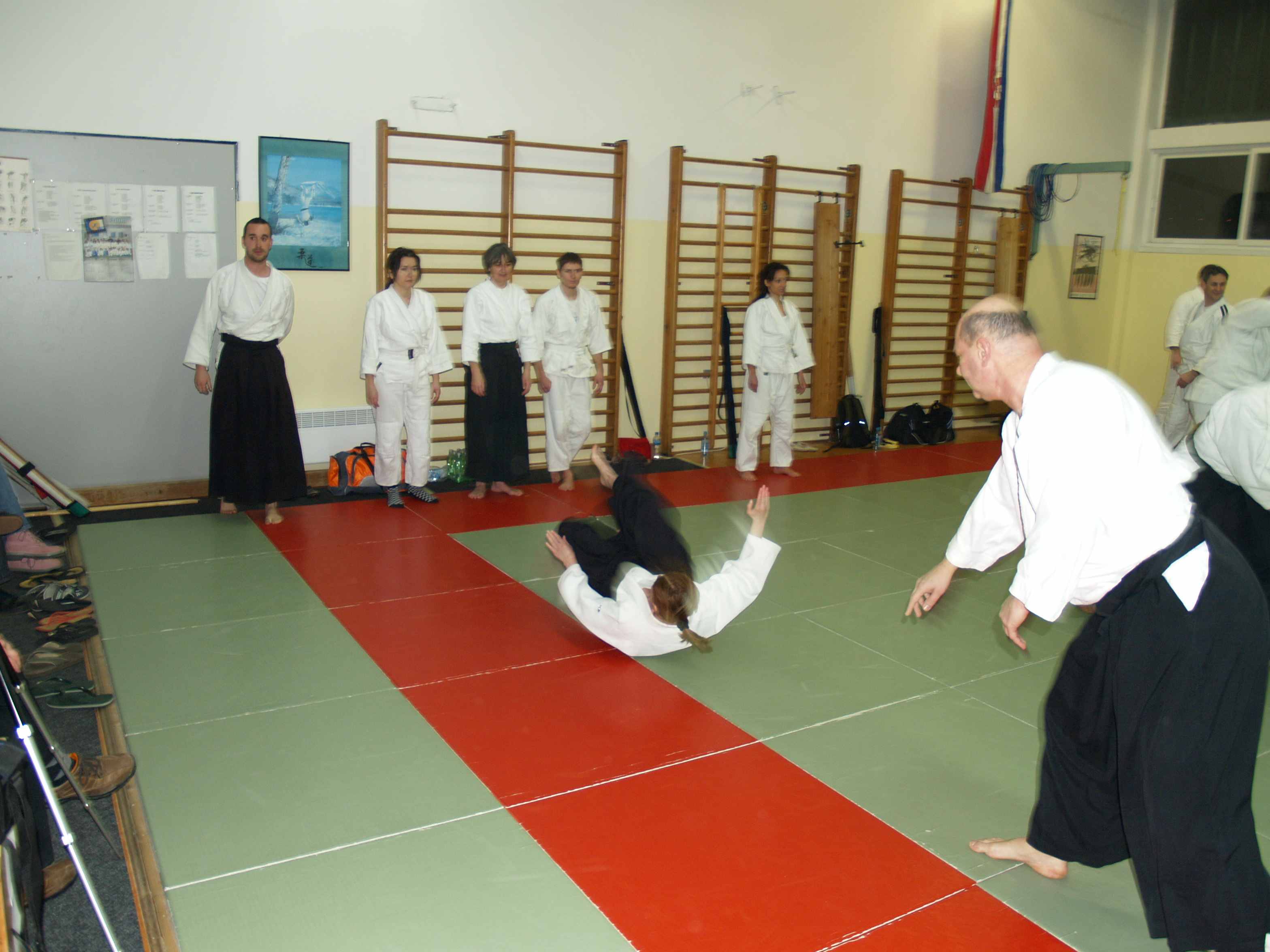 Aikido, sminar Alesa Leskovseka u AK Donat