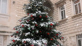 Snijeg u Zadru, 17. prosinca 2009, Foto: Saša Čuka