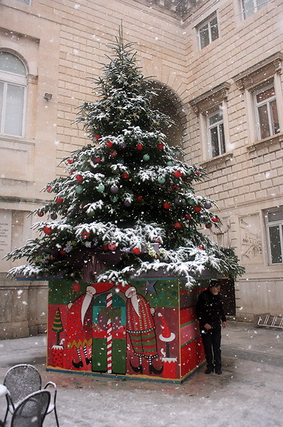 Snijeg u Zadru, 17. prosinca 2009, Foto: Saša Čuka