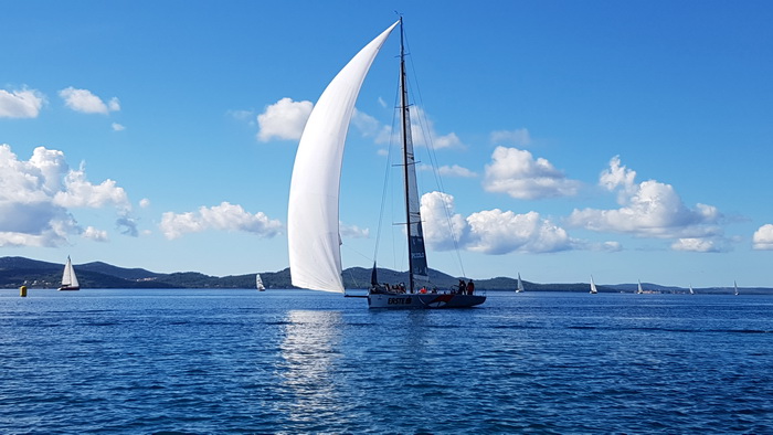 Zadarska Koka 2016. 22. listopada 2016. Foto: Mladen Malik Zadarska Koka 2016. 22. listopada 2016. Foto: Mladen Malik