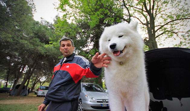 Međunarodna izložba pasa “CACIB ZADAR 2011”