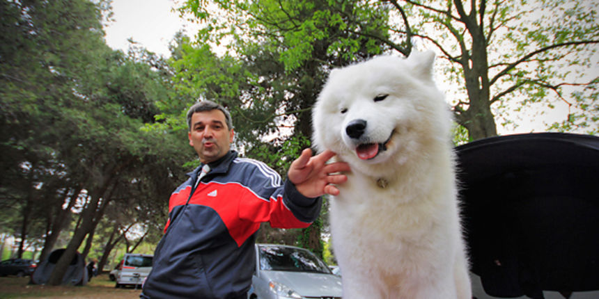 Međunarodna izložba pasa “CACIB ZADAR 2011” Međunarodna izložba pasa “CACIB ZADAR 2011”