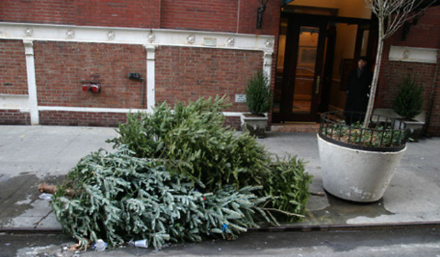 odbačeno božićno drvce