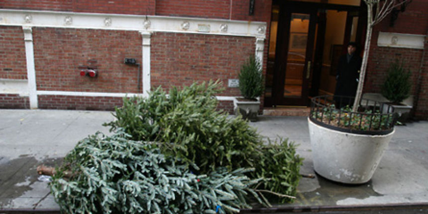 odbačeno božićno drvce