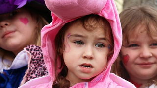 Virski karnevalić 2016. Virski karnevalić 2016.