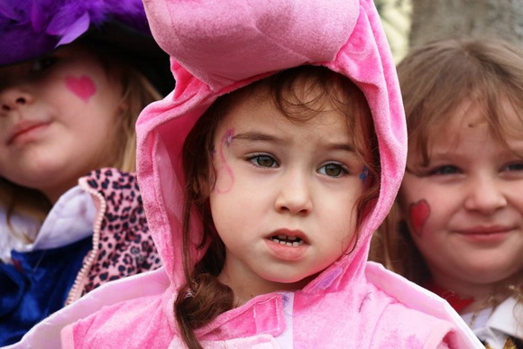 Virski karnevalić 2016. Virski karnevalić 2016.