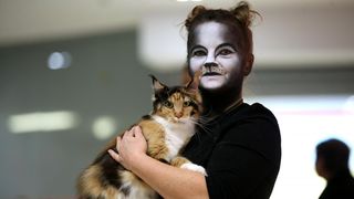 Pogledajte kako je bilo na Međunarodnoj izložbi mačaka u Westgateu