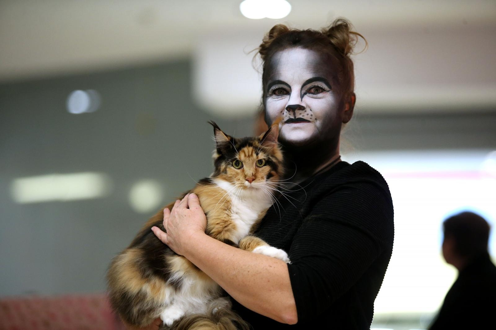 Pogledajte kako je bilo na Međunarodnoj izložbi mačaka u Westgateu