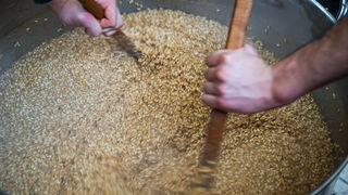 Skradinski rižoto na Adventu Skradinski rižoto na Adventu