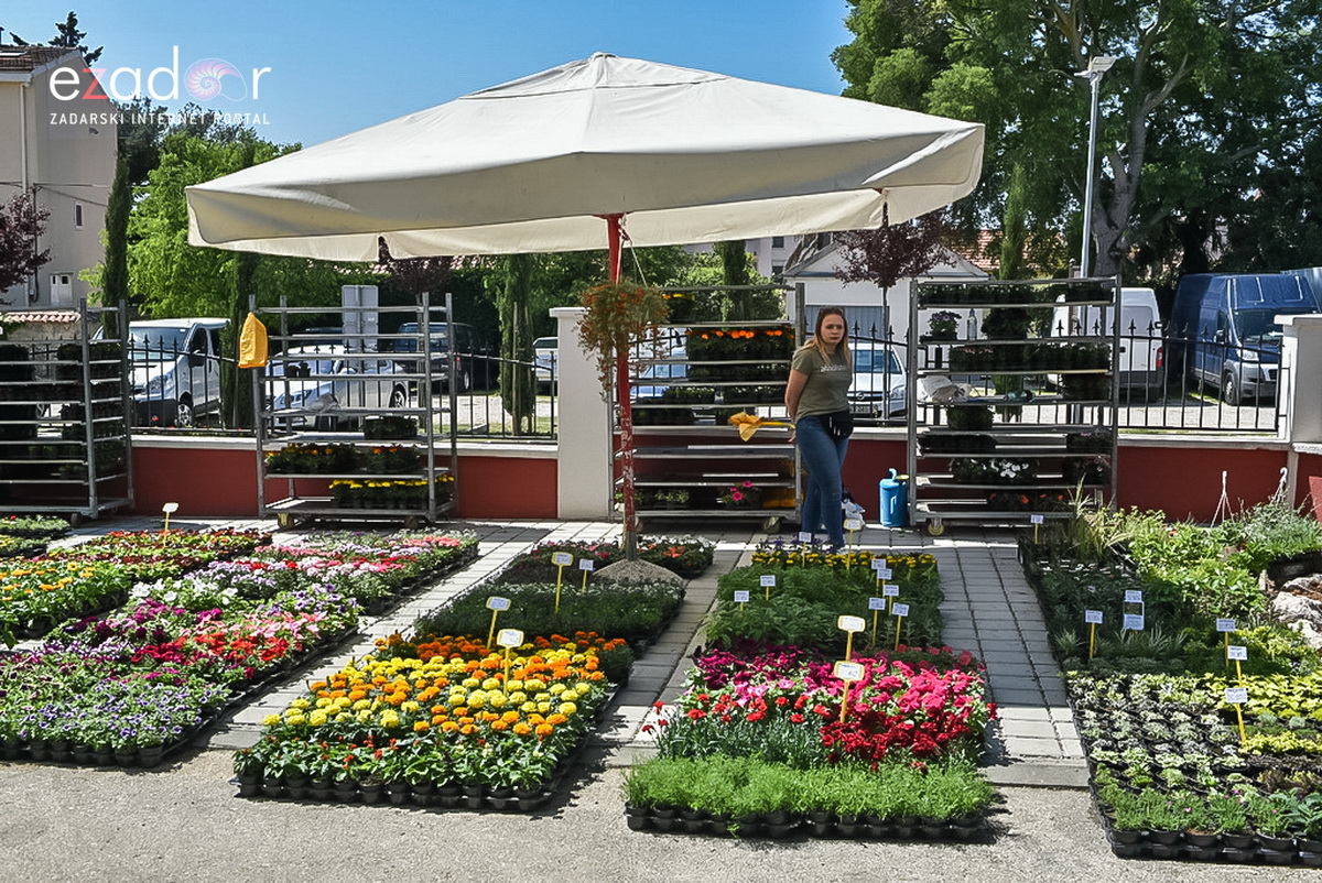 Svečano otvoren 18. Festival cvijeća Zadarske županije u Sv. Filip i Jakovu