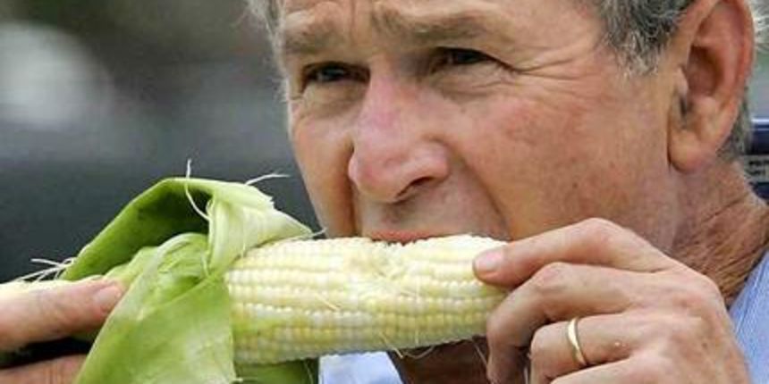 Image 1166711 (auto)