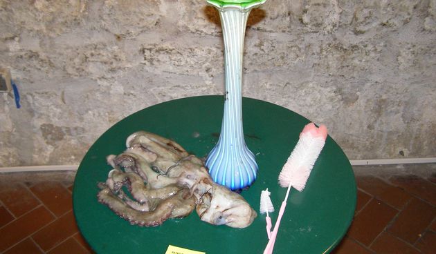 Izložba dadaizam u Studentskom klubu