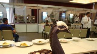 Umag – Hotel Sol Garden Istra u Katoru. Dani hrvatskog kulinarstva i ove godine okupljaju najbolje kuhare, slasticare i ucenike srednjih strukovnih ckola koji se natjecu za medalje i titule drzavnih prvaka. Clanovi zirija. Photo: Dusko Marusic/PIXSELL Umag – Hotel Sol Garden Istra u Katoru. Dani hrvatskog kulinarstva i ove godine okupljaju najbolje kuhare, slasticare i ucenike srednjih strukovnih ckola koji se natjecu za medalje i titule drzavnih prvaka. Clanovi zirija. Photo: Dusko Marusic/PIXSELL