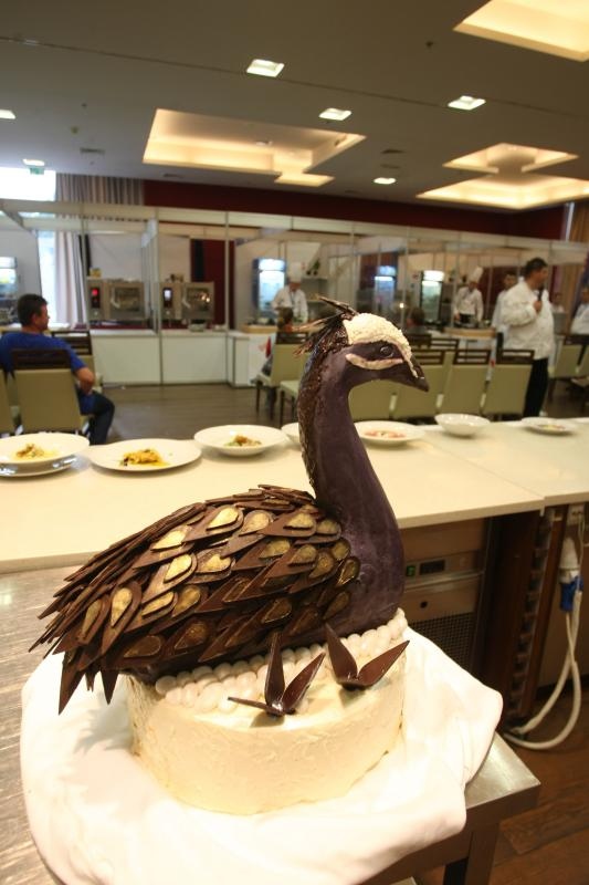 Umag – Hotel Sol Garden Istra u Katoru. Dani hrvatskog kulinarstva i ove godine okupljaju najbolje kuhare, slasticare i ucenike srednjih strukovnih ckola koji se natjecu za medalje i titule drzavnih prvaka. Clanovi zirija. Photo: Dusko Marusic/PIXSELL Umag – Hotel Sol Garden Istra u Katoru. Dani hrvatskog kulinarstva i ove godine okupljaju najbolje kuhare, slasticare i ucenike srednjih strukovnih ckola koji se natjecu za medalje i titule drzavnih prvaka. Clanovi zirija. Photo: Dusko Marusic/PIXSELL