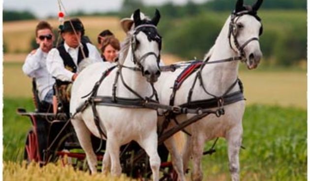 Jačanje eko turizma u Baranji, foto: seoski-turizam.net