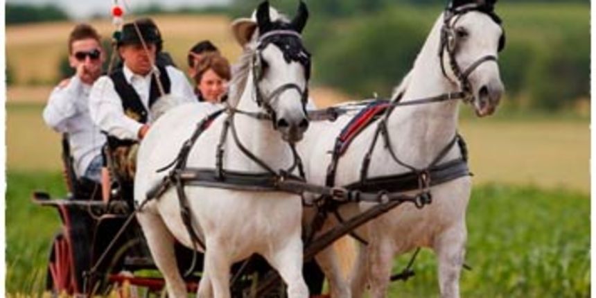 Jačanje eko turizma u Baranji, foto: seoski-turizam.net