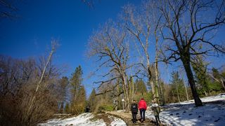 Zimska idila u Nacionalnom parku Plitvička jezera Zimska idila u Nacionalnom parku Plitvička jezera