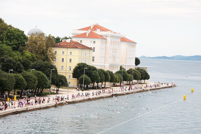 Dm Millenium 2010. foto: Angelo Virag Dm Millenium 2010. foto: Angelo Virag