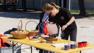 Đir po gradu 29. travnja 2017.