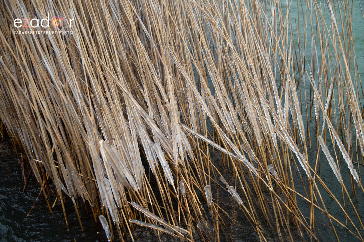 Zimska idila u Parku prirode Vransko jezero Zimska idila u Parku prirode Vransko jezero