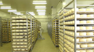 Otvaranje novog pogona Paske sirane