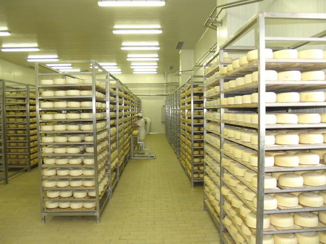 Otvaranje novog pogona Paske sirane