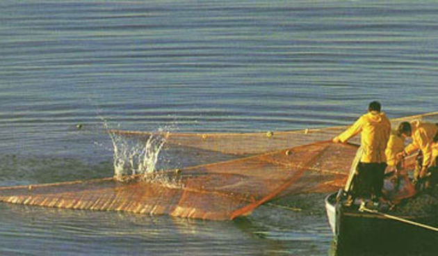 Ribari/Foto: freightercruises.com