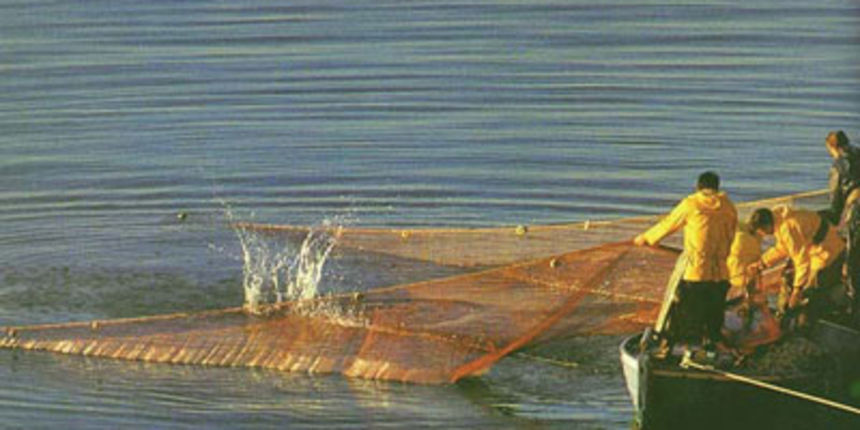 Ribari/Foto: freightercruises.com Ribari/Foto: freightercruises.com