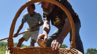 Zadarski beskucnici angazirani su na sadnji krumpira koji cini dio ponude pucke kuhinje u kojoj se i sami hrane. Photo: Dino Stanin/PIXSELL Zadarski beskucnici angazirani su na sadnji krumpira koji cini dio ponude pucke kuhinje u kojoj se i sami hrane. Photo: Dino Stanin/PIXSELL