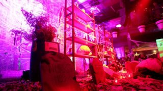 Halloween party u Green Gold Clubu, Foto: Goran Šebula Halloween party u Green Gold Clubu, Foto: Goran Šebula