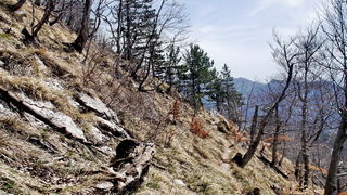 Veliko Rujno – Buljma – Struge