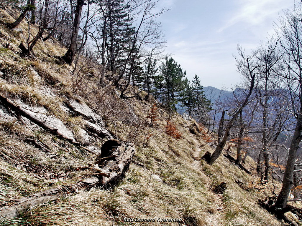 Veliko Rujno – Buljma – Struge