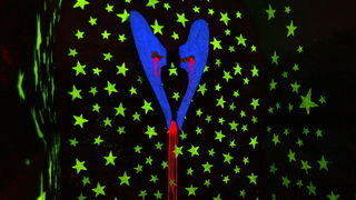 Rijeka 070610.
Danas je u prostoru bivse tvornice papira Harteri najavljen ovogodisnji   Hartera festival. Ova priredba se organizira po sesti put u  napustenim prostorima bivse tvornice. Festival traje od 11 do 13 lipnja , a nastupaju slijedece grupe: Kl