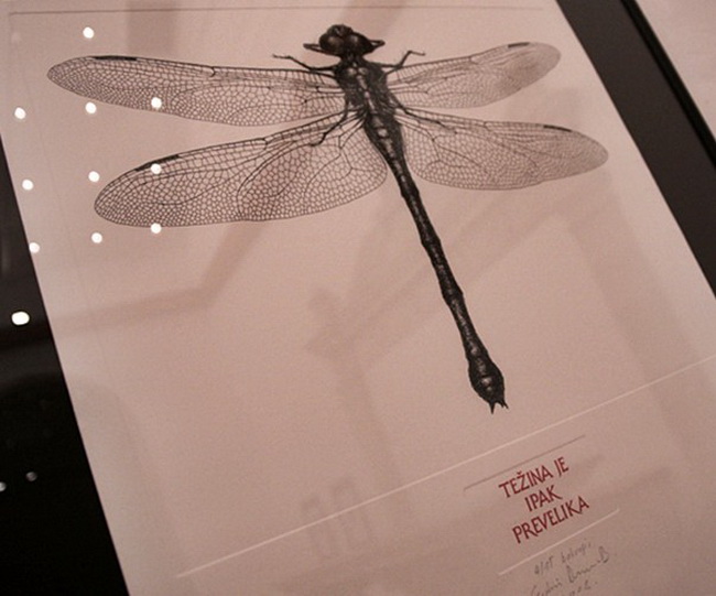 Izlozba A sto ako vam se svidjam? u Gradskoj lozi Izlozba A sto ako vam se svidjam? u Gradskoj lozi