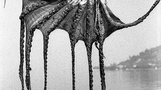 Image 1192103 (auto)