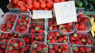 Jagode 12 kn/kg