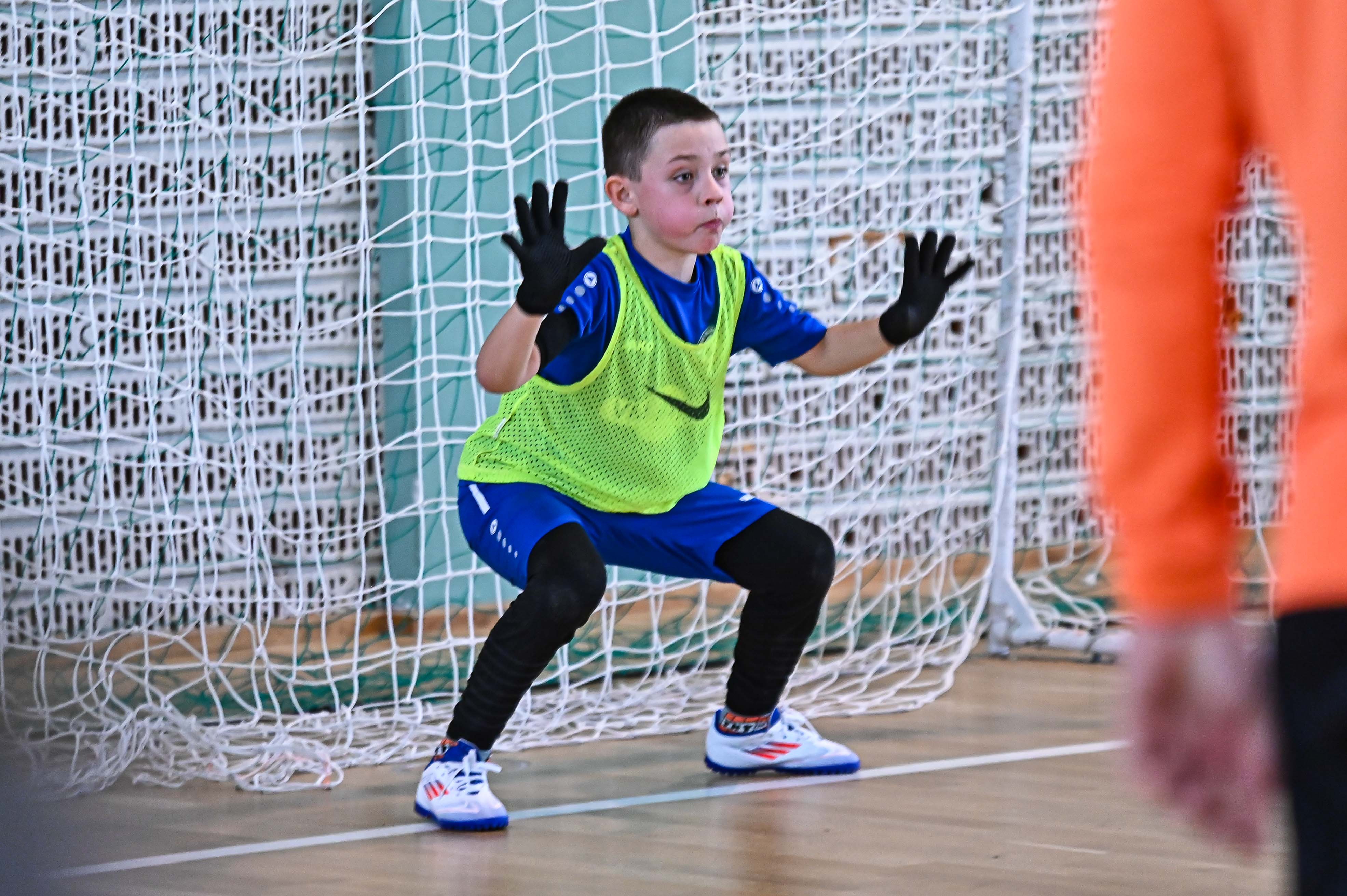 1.Cateleya indoor Cup 1.Cateleya indoor Cup