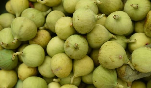 Na barbanskoj placi u sklopu Feste smokve i smokvenjaka, na mastovito uredjenim standovima nudile su se marmelade i rakije od smokava, susene smokve i brojne slastice pripremljene od smokava. Na svakom stolu nalazili su se nezaobilazni smokovnjaci koje su