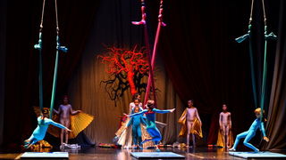 Circo Art u HNK Zadar izveo predstavu “Povratak u prirodu”