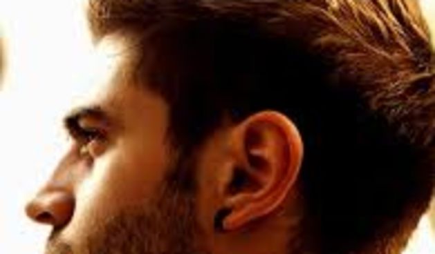 Jesu li ženama doista privlačniji muškarci s bradom?, foto: forum.hr