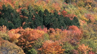 Paklenica: Boje jeseni, Foto: Mladen Radolovic Mrlja
