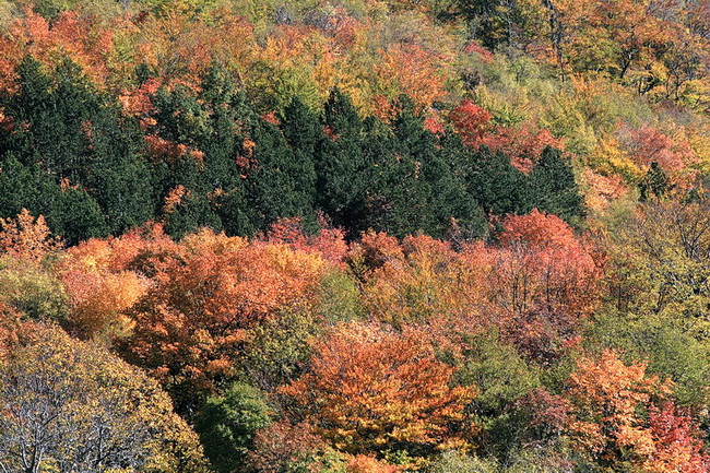 Paklenica: Boje jeseni, Foto: Mladen Radolovic Mrlja