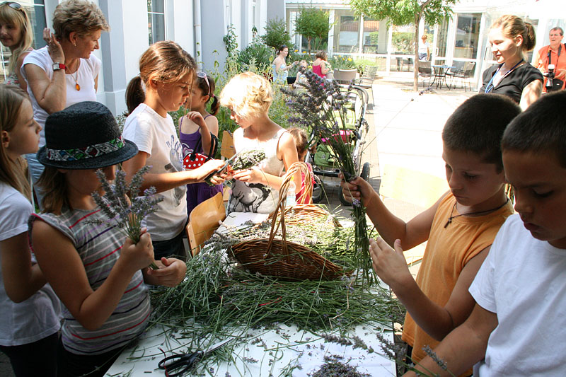 GKZD: Dječja radionica izrade stručaka i jastučića od lavande, Foto: Lucija Juravić